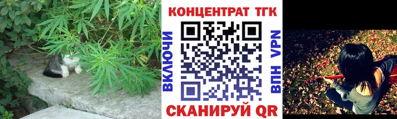 цены наркотик  Шахунья  ТГК вейп 