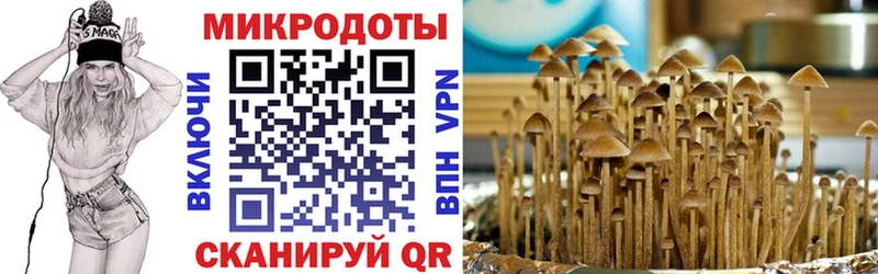 где купить наркотик  Шахунья  ОМГ ОМГ как войти  Псилоцибиновые грибы GOLDEN TEACHER 
